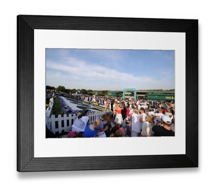 Framed Print : Screen And Show Court 1 Framed Print : Screen And Show Court 1