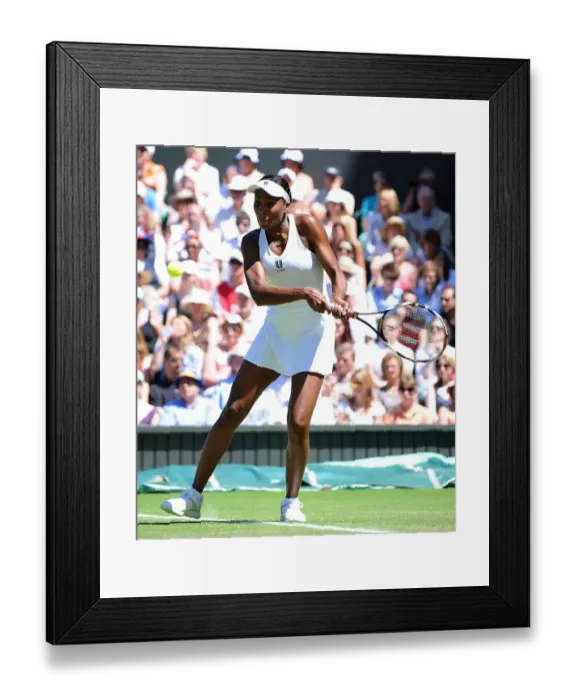 Framed Print : Venus Williams Framed Print : Venus Williams
