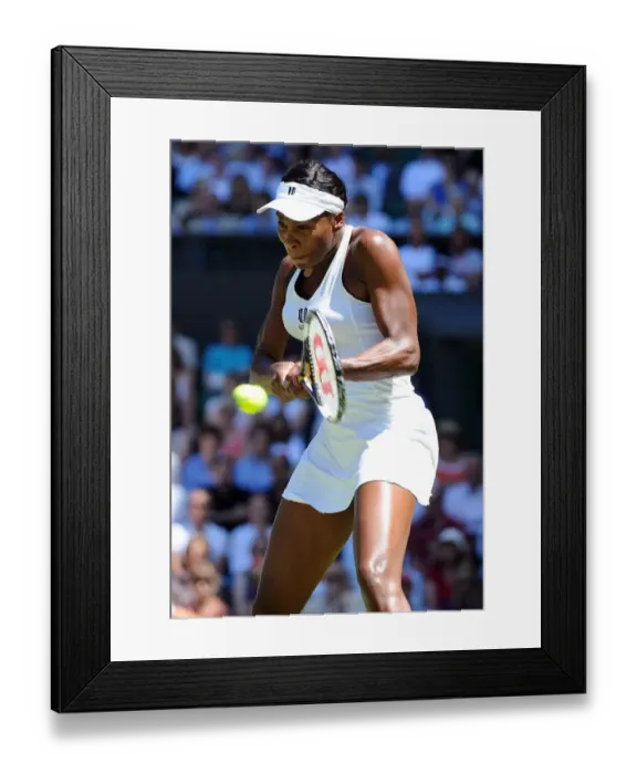 Framed Print : Venus Williams Framed Print : Venus Williams