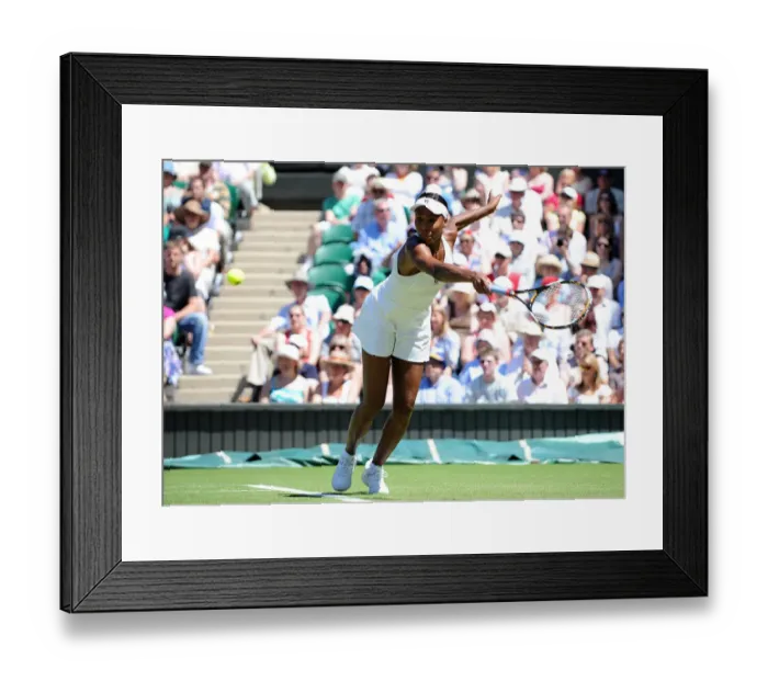 Framed Print : Venus Williams Framed Print : Venus Williams