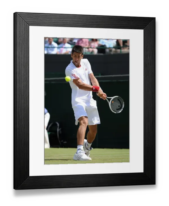 Framed Print : Novak Djokovic Framed Print : Novak Djokovic