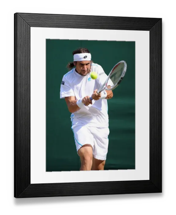 Framed Print : David Ferrer Framed Print : David Ferrer