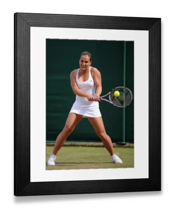 Framed Print : Dominika Cibulkova Framed Print : Dominika Cibulkova