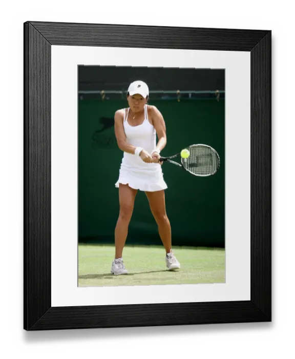 Framed Print : Vania King Framed Print : Vania King