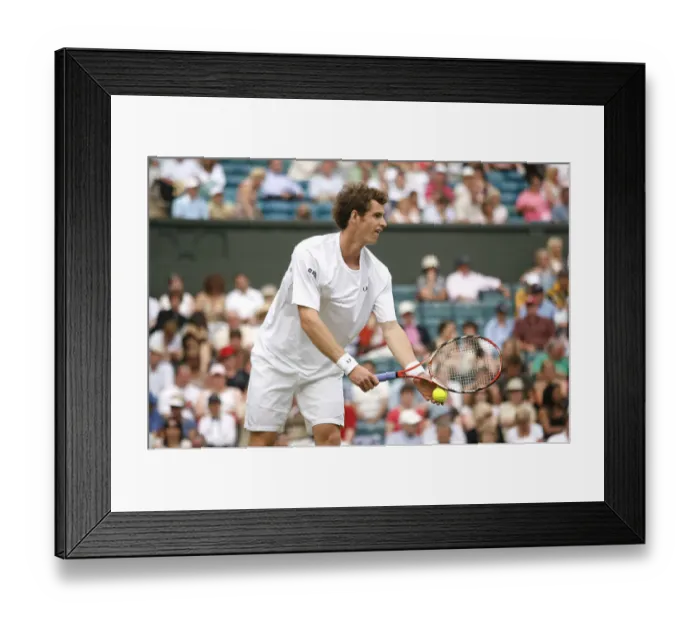 Framed Print : Andy Murray Framed Print : Andy Murray