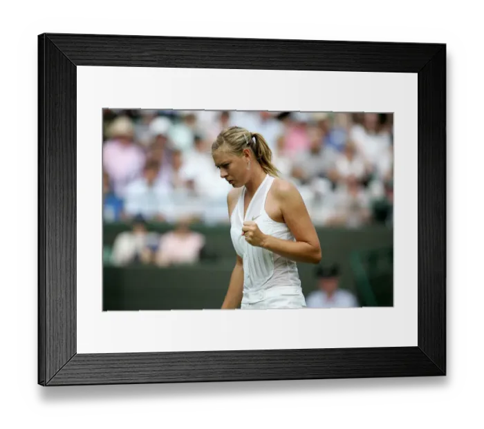 Framed Print : Maria Sharapova Framed Print : Maria Sharapova