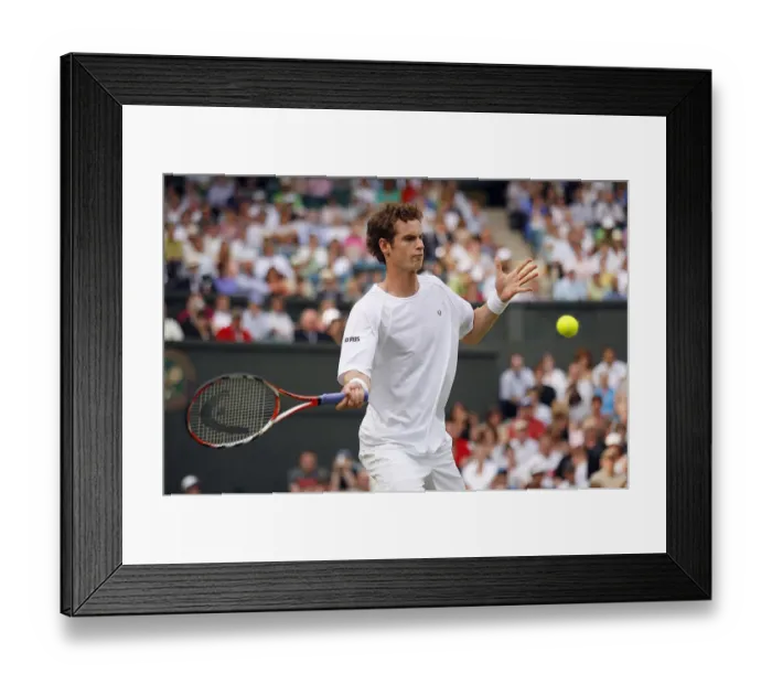 Framed Print : Andy Murray