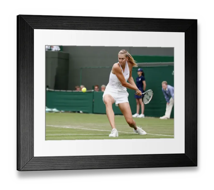 Framed Print : Maria Sharapova Framed Print : Maria Sharapova