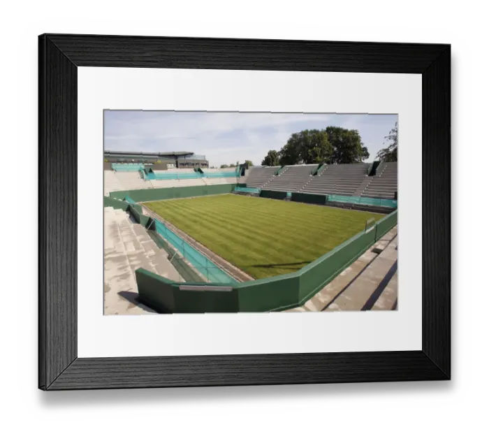 Framed Print : The Future Show Court 2