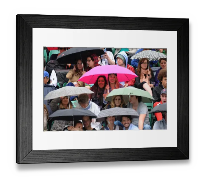 Framed Print : Umbrellas Out As Rain Delays Play Framed Print : Umbrellas Out As Rain Delays Play
