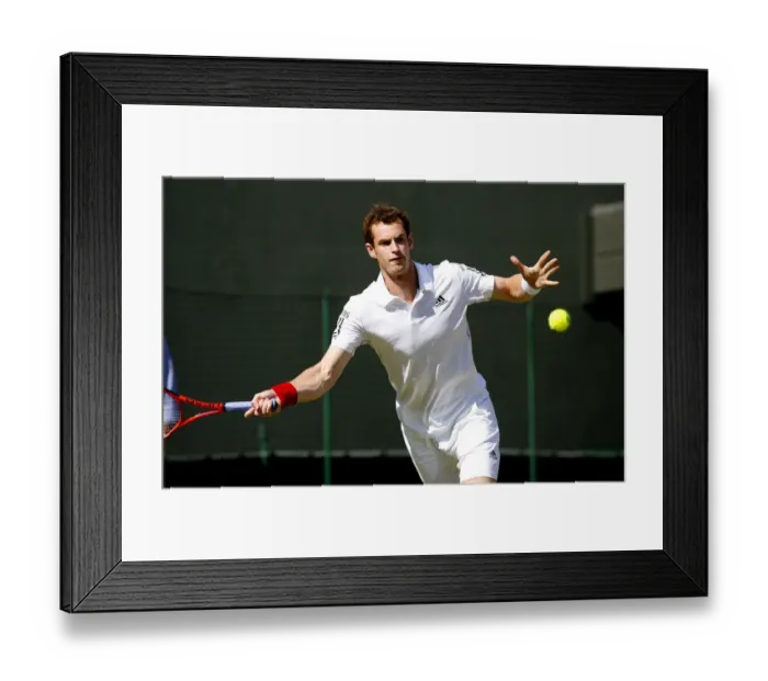 Framed Print : Andy Murray Framed Print : Andy Murray