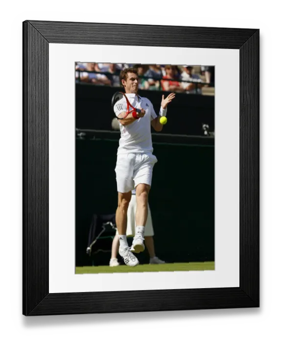 Framed Print : Andy Murray Framed Print : Andy Murray