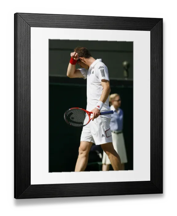 Framed Print : Andy Murray Framed Print : Andy Murray
