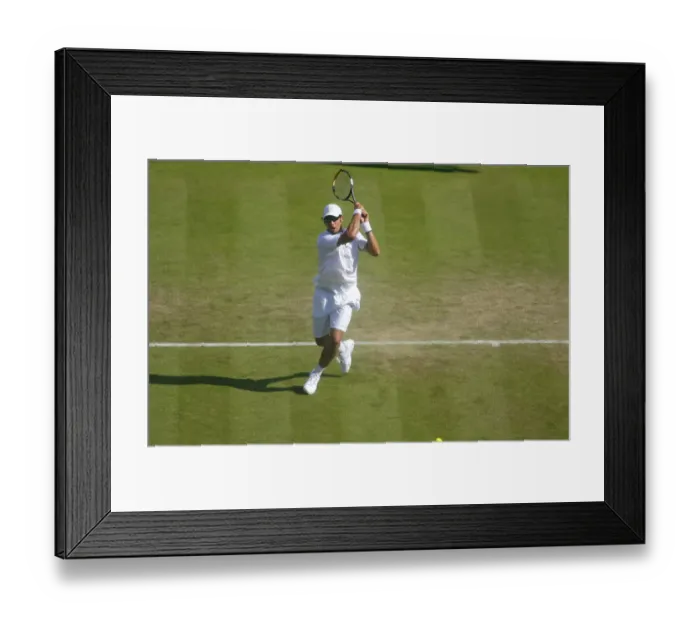 Framed Print : Ilija Bozoljac
