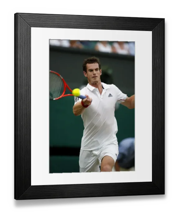 Framed Print : Andy Murray Framed Print : Andy Murray