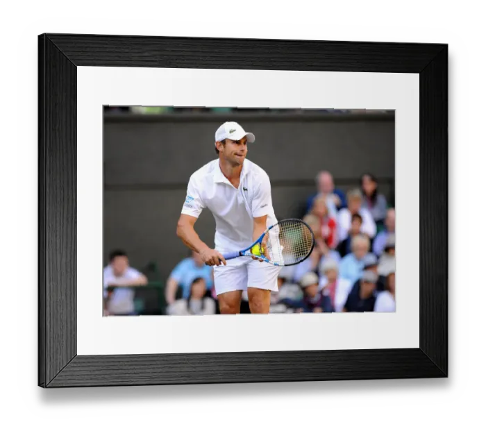 Framed Print : Andy Roddick Framed Print : Andy Roddick