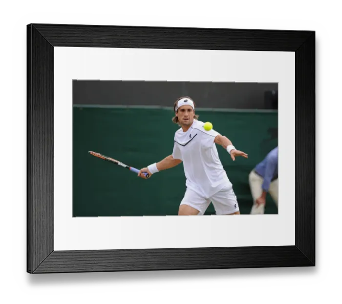 Framed Print : David Ferrer Framed Print : David Ferrer