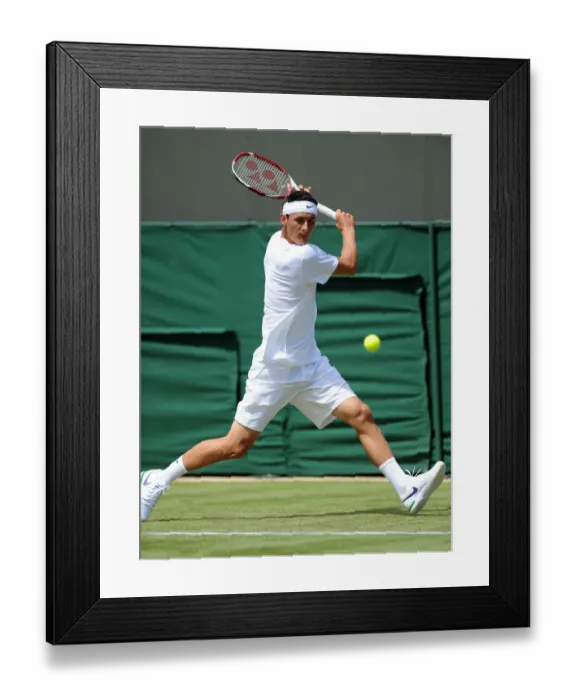 Framed Print : Bernard Tomic