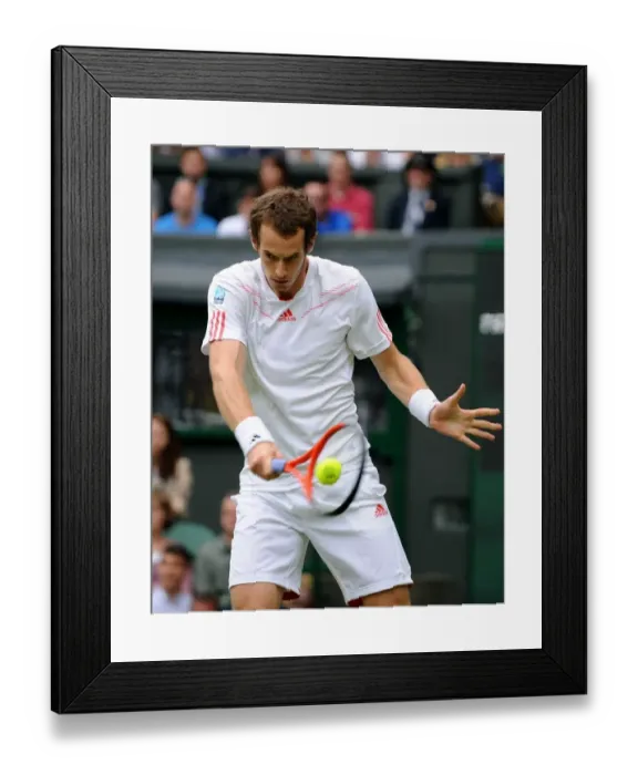 Framed Print : Andy Murray