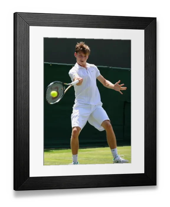 Framed Print : David Goffin Framed Print : David Goffin