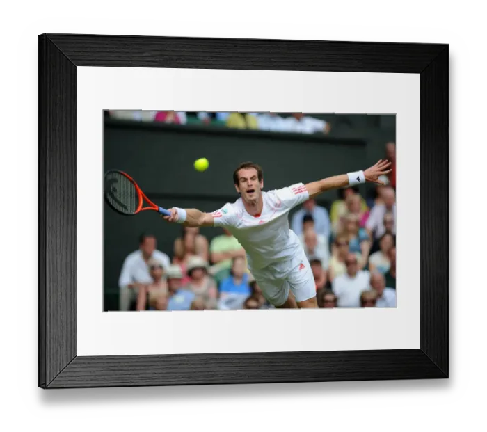 Framed Print : Andy Murray Framed Print : Andy Murray