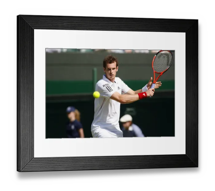 Framed Print : Andy Murray Framed Print : Andy Murray