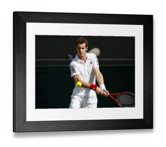 Framed Print : Andy Murray Framed Print : Andy Murray