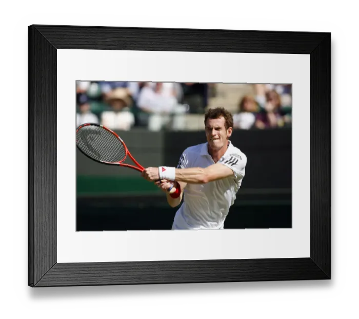 Framed Print : Andy Murray Framed Print : Andy Murray