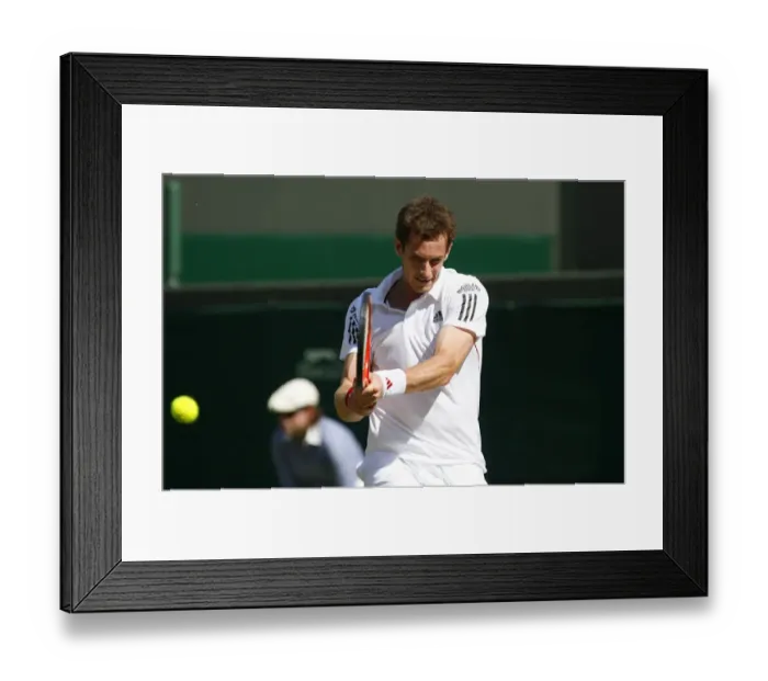 Framed Print : Andy Murray Framed Print : Andy Murray