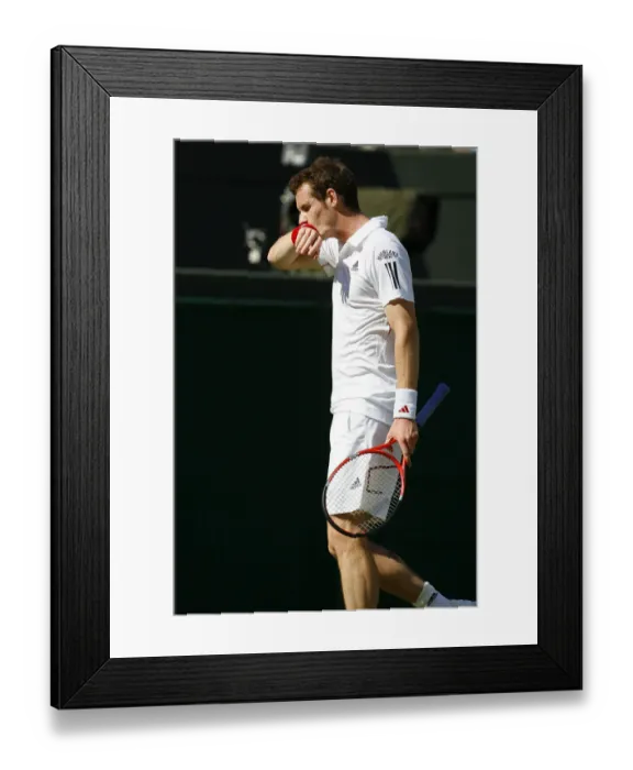 Framed Print : Andy Murray Framed Print : Andy Murray