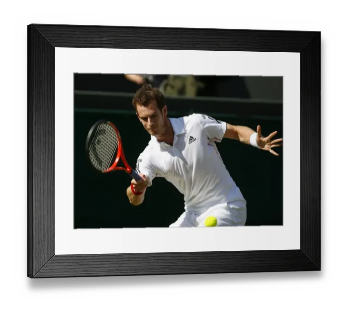 Framed Print : Andy Murray Framed Print : Andy Murray