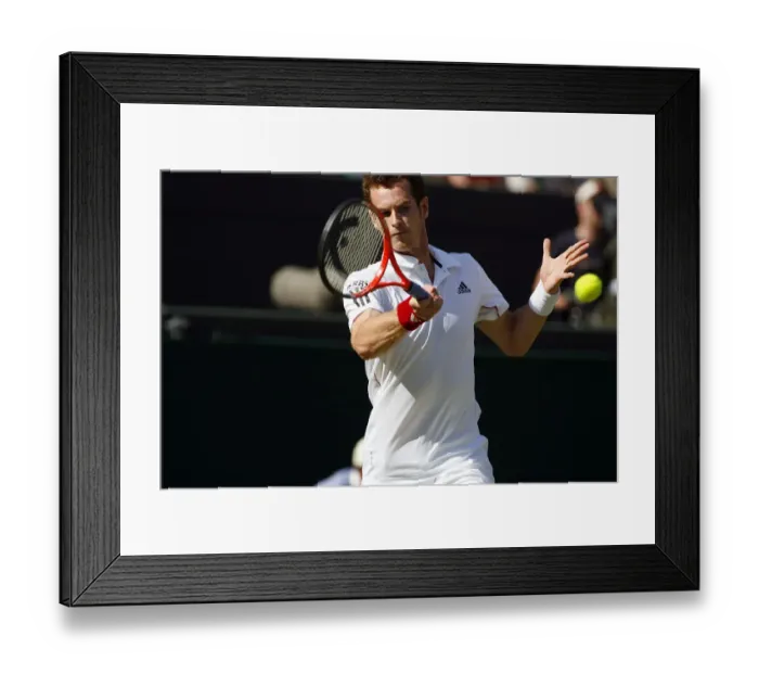 Framed Print : Andy Murray Framed Print : Andy Murray
