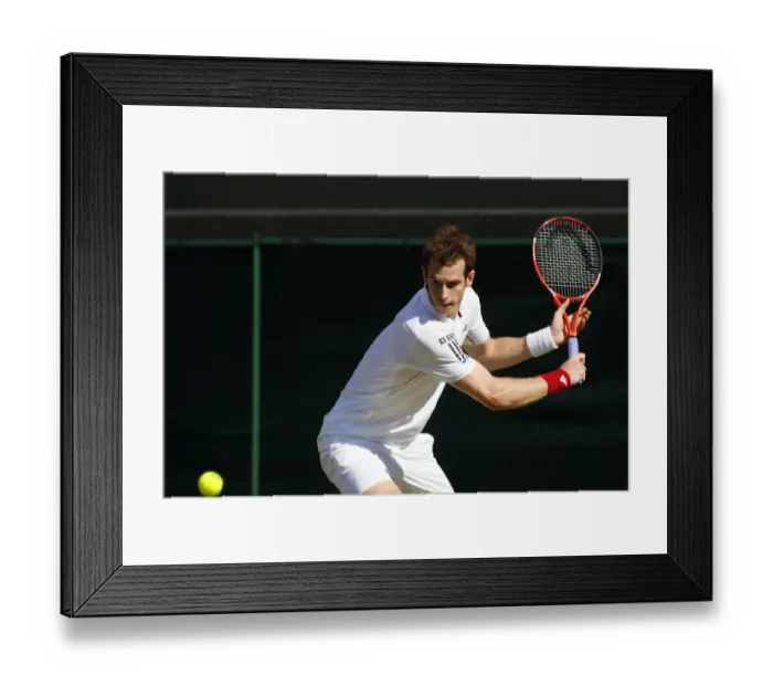 Framed Print : Andy Murray Framed Print : Andy Murray