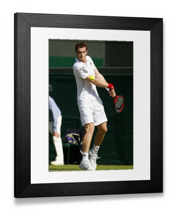 Framed Print : Andy Murray Framed Print : Andy Murray