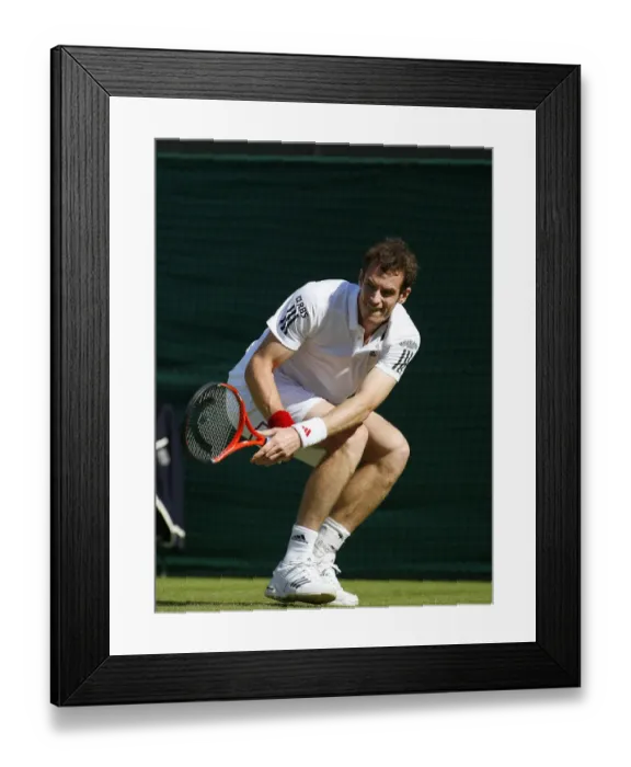 Framed Print : Andy Murray Framed Print : Andy Murray
