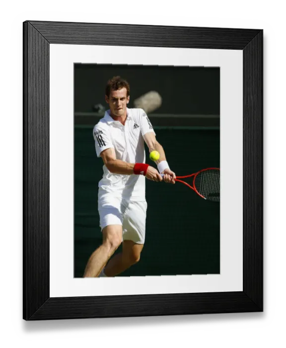 Framed Print : Andy Murray Framed Print : Andy Murray