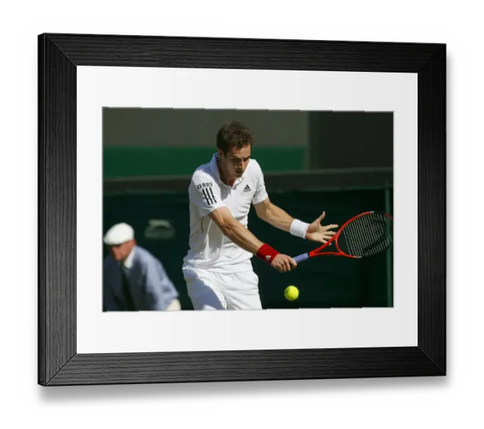 Framed Print : Andy Murray