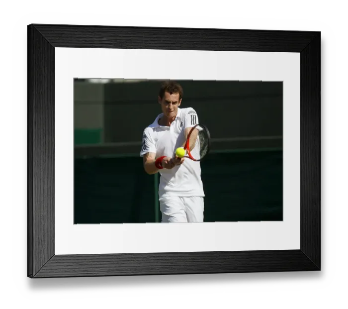 Framed Print : Andy Murray Framed Print : Andy Murray