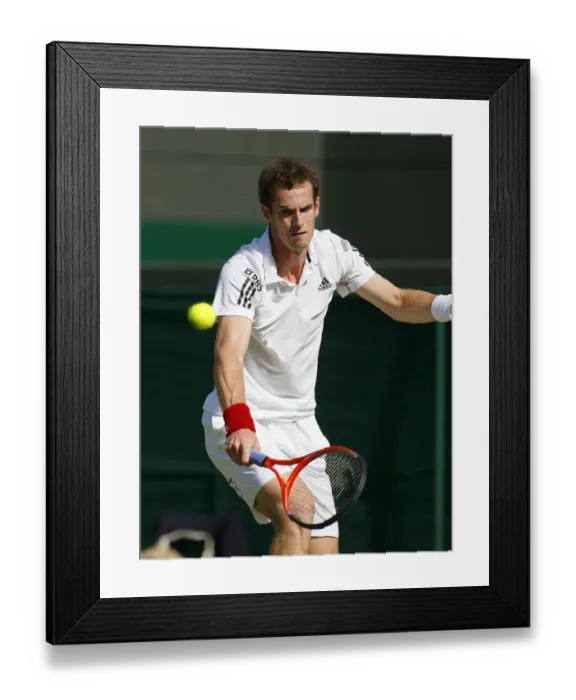 Framed Print : Andy Murray Framed Print : Andy Murray