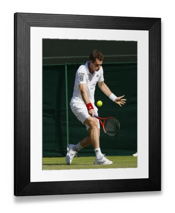 Framed Print : Andy Murray Framed Print : Andy Murray