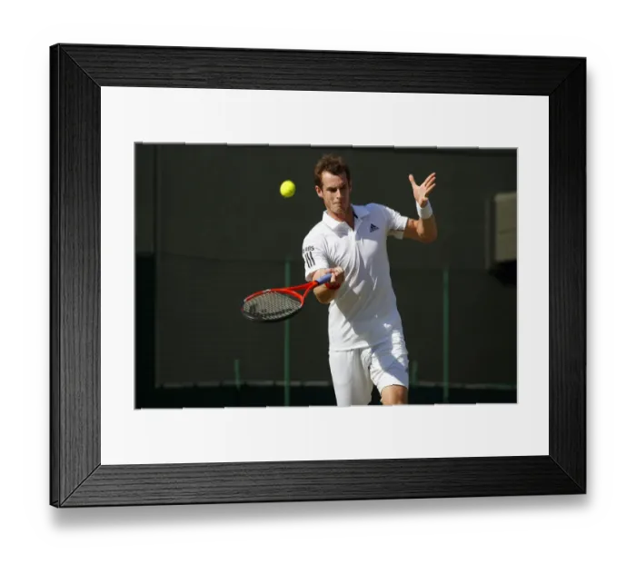 Framed Print : Andy Murray Framed Print : Andy Murray