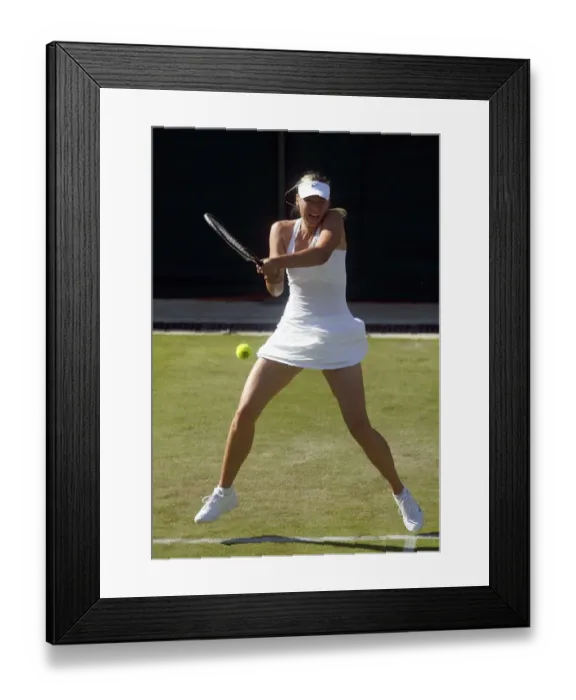 Framed Print : Maria Sharapova Framed Print : Maria Sharapova