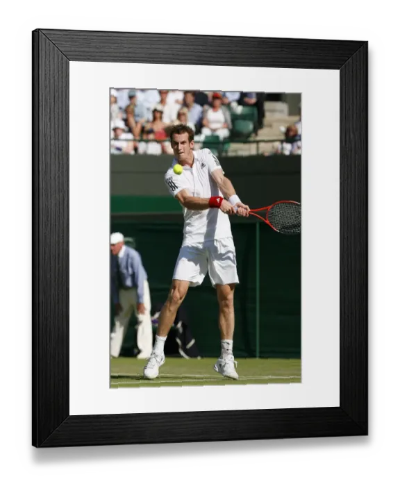 Framed Print : Andy Murray Framed Print : Andy Murray