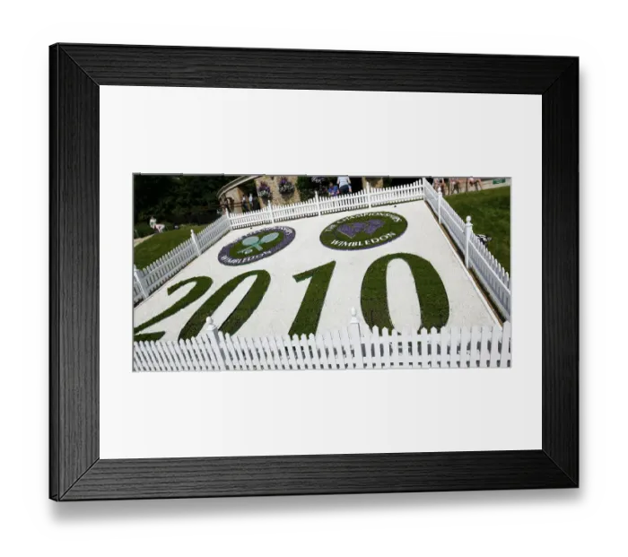 Framed Print : Wimbledon Flowers Framed Print : Wimbledon Flowers