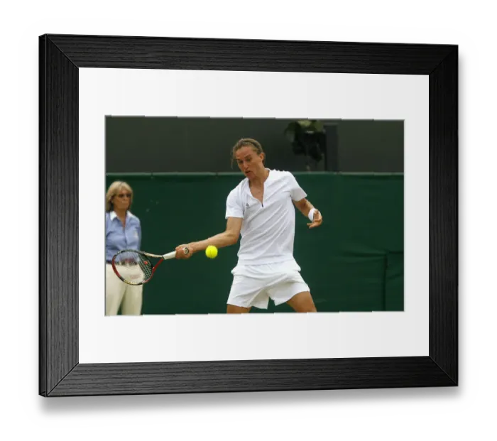 Framed Print : Alexandr Dolgopolov