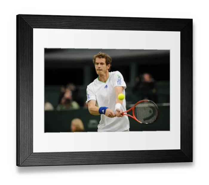 Framed Print : Andy Murray Framed Print : Andy Murray