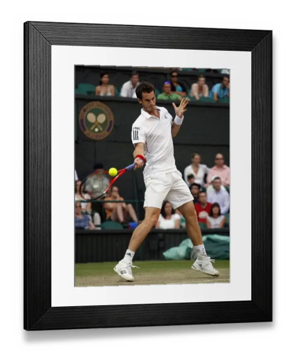 Framed Print : Andy Murray Framed Print : Andy Murray