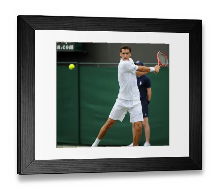 Framed Print : Martin Cilic Framed Print : Martin Cilic