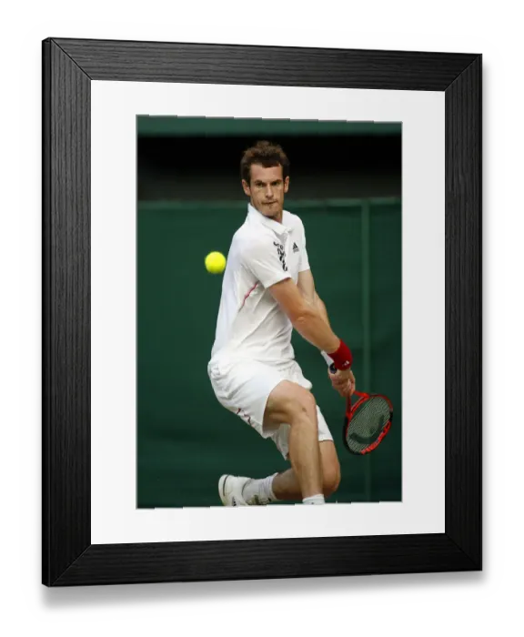 Framed Print : Andy Murray Framed Print : Andy Murray