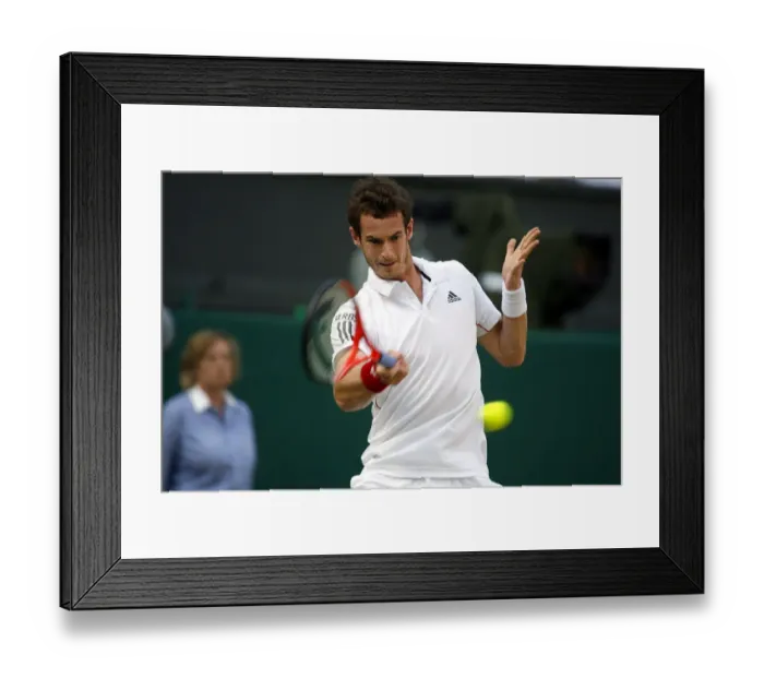 Framed Print : Andy Murray Framed Print : Andy Murray